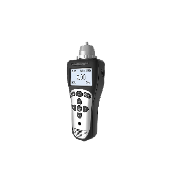 Portable Single Gas Detector (Laser)