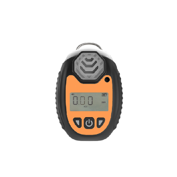 Diffusion-type Portable Gas Detector