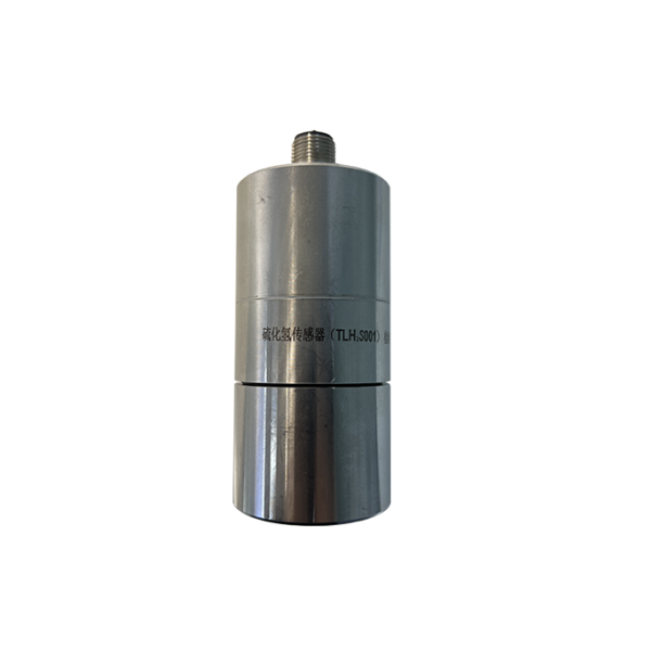 Hydrogen Sulfide Sensor